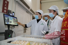 保康一中：食安可视化 守护零距离