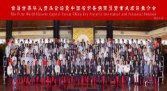 <strong>蒋泓峰：我所亲历的华人华侨取“反‘独</strong>